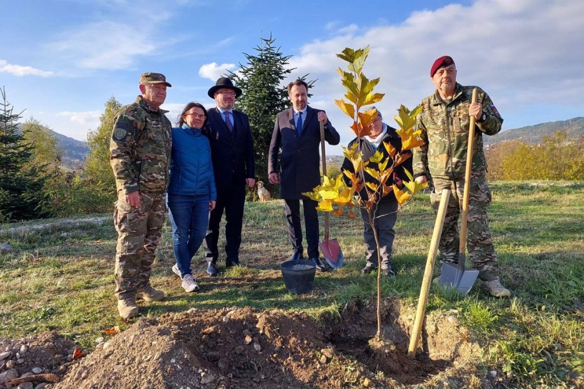 Sanacija drevoreda platan Ivan Cankar na Betaniji združila slovensko skupnost v Sarajevu