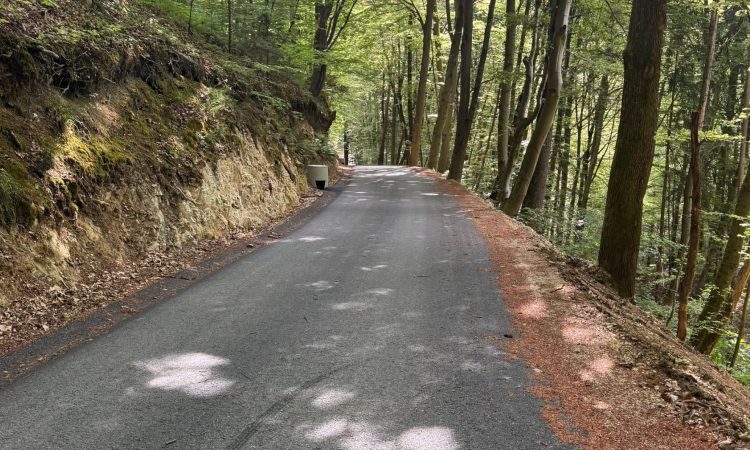 V Celju posodobljena javna pot med Šmartnim in Šentjungertom