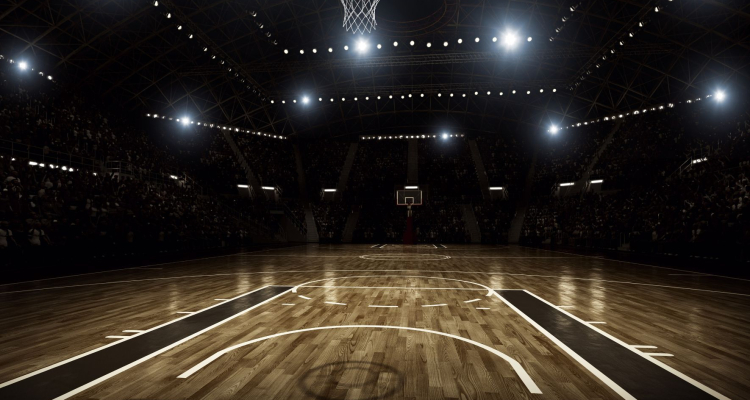 Košarkarji iz Domžal boljši od Primorja