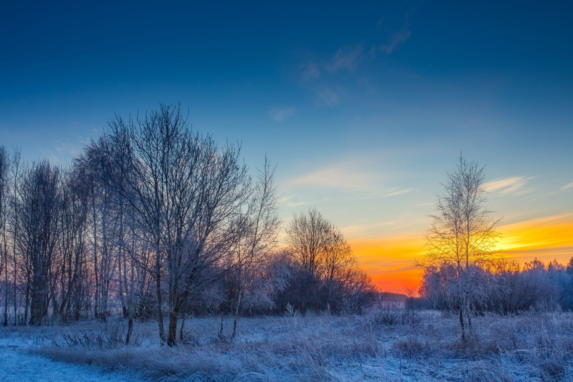 Mrzlo jutro z najnižjo temperaturo na Blokah