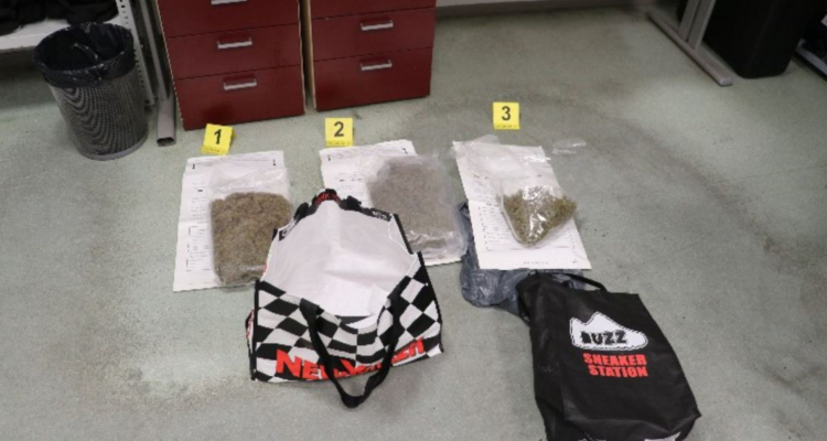 Na Dragonji zasegli več kot kilogram konoplje, trije osumljeni